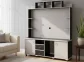 Sony royal wallunit tv stand