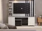 Sony ultimate wall unit model:2