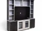 Sony wall unit (tm02)